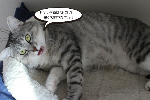 甘え方は控えめに_e0151545_20271958.jpg