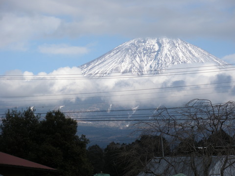 a0063554_2155098.jpg