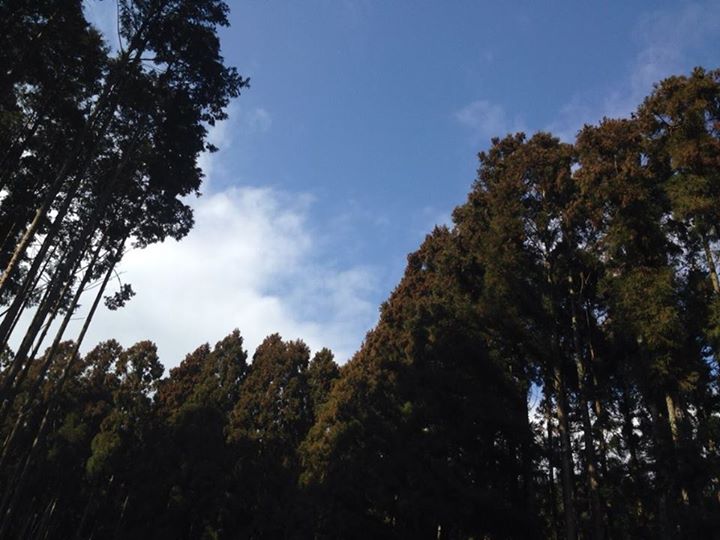 c0115560_11454120.jpg