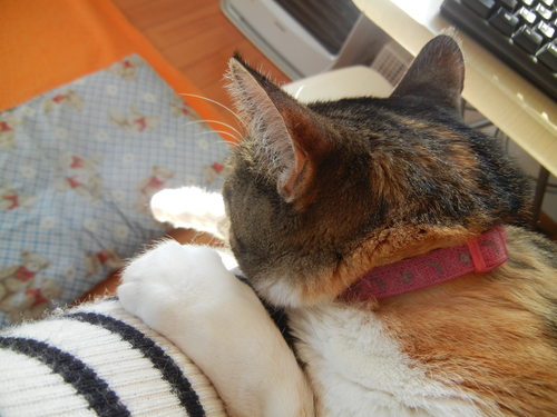 ’14,1,23(木)見たことのない景色に~!_f0060461_10264833.jpg