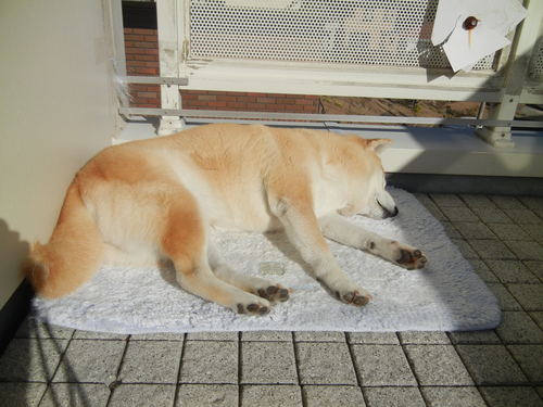 ’14,1,23(木)見たことのない景色に~!_f0060461_10352383.jpg