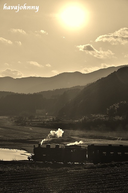 二つの顔~大井川鉄道7~_c0173762_19344334.jpg
