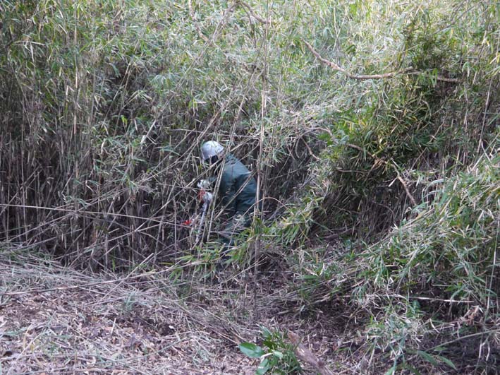 圧巻！山桜の巨木群の全貌目前に1・18六国見山定例手入れ_c0014967_9495827.jpg