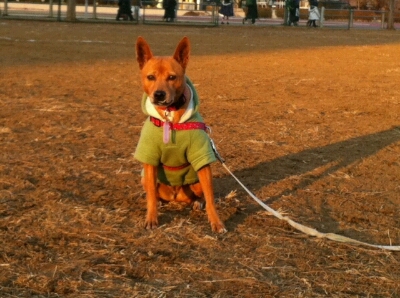 f0238772_14403024.jpg