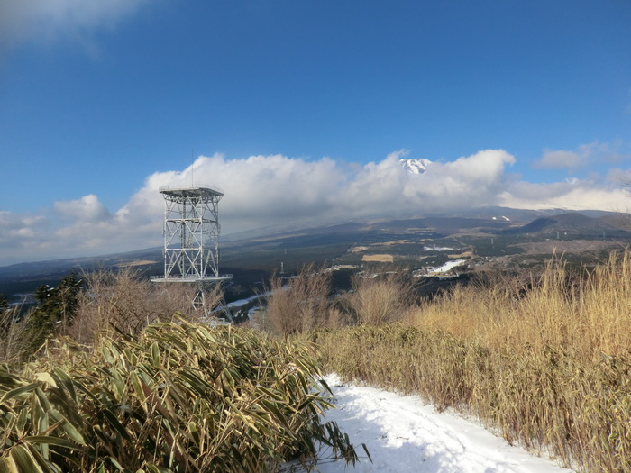 No327 富士南山麓・愛鷹山系最高峰・越前岳_b0185573_18114370.jpg