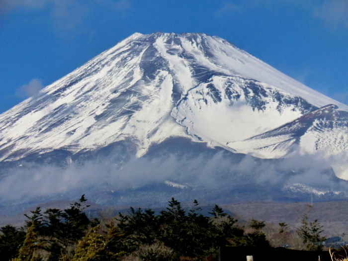 No327 富士南山麓・愛鷹山系最高峰・越前岳_b0185573_18382129.jpg