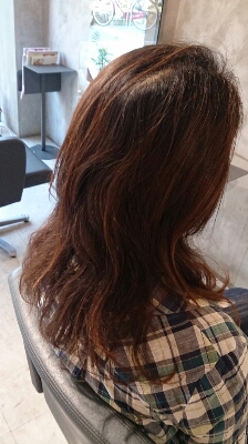 おまかせします!!!_f0152875_13162559.jpg