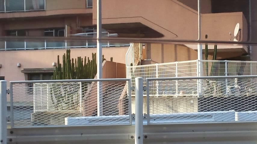 f0200477_031535.jpg