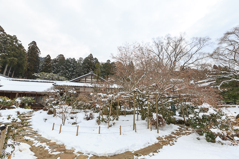 雪の大原〜実光院〜_f0224083_0305857.jpg