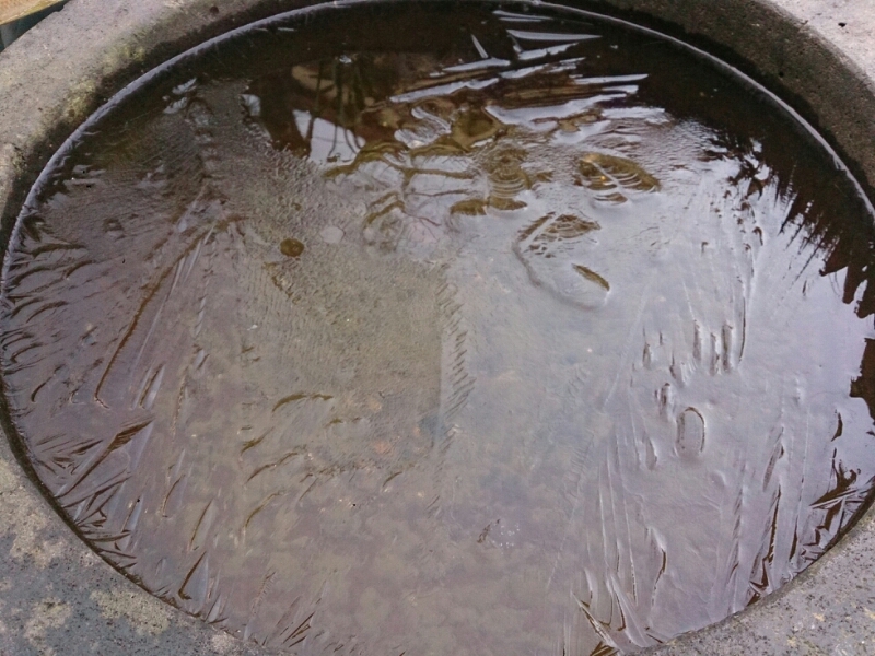 c0301085_20293476.jpg