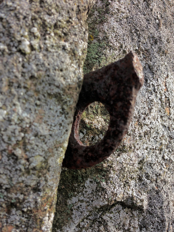 2014/01/16 Scrambling and Mountain Running in Shodoshima 小豆島_b0220886_1522537.jpg