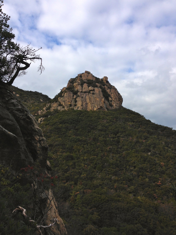 2014/01/16 Scrambling and Mountain Running in Shodoshima 小豆島_b0220886_15331392.jpg