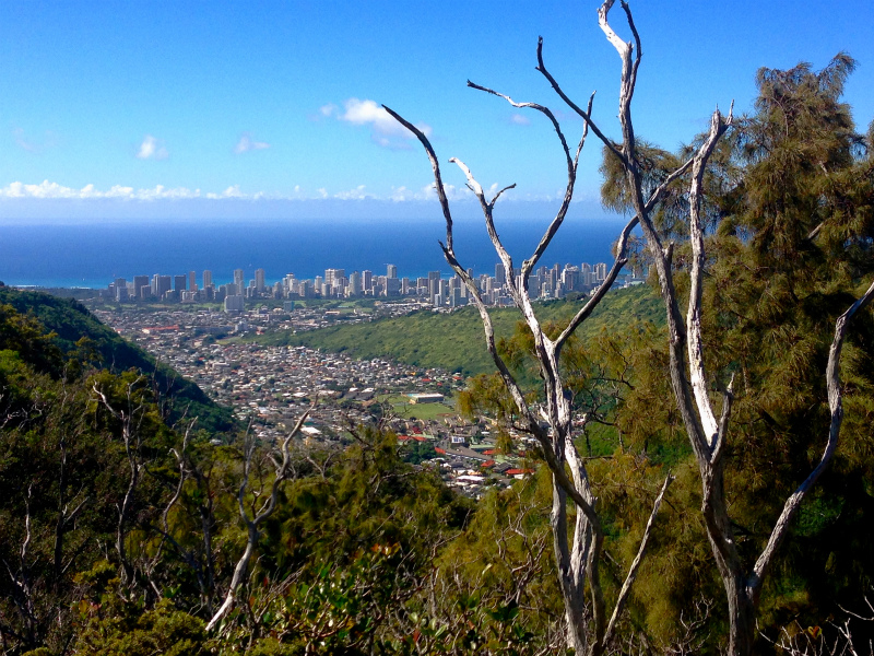 2014/01/17 Mountain Running Trip in Oahu of Hawaii Day.1 Mau\'umae Trail_b0220886_16292426.jpg