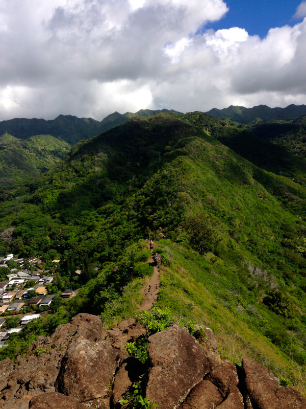 2014/01/17 Mountain Running Trip in Oahu of Hawaii Day.1 Mau\'umae Trail_b0220886_16442968.jpg