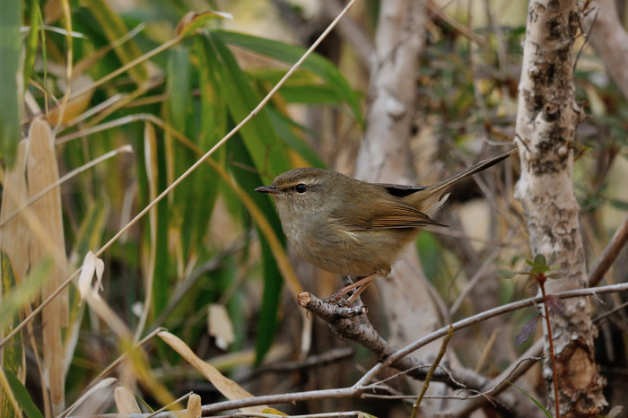 2014 01 23 ヌカミソとノートリるり子_a0143491_23112368.jpg