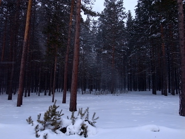 吹雪いて晴れて気まぐれ天気は何時まで続く？_e0250594_00273002.jpg