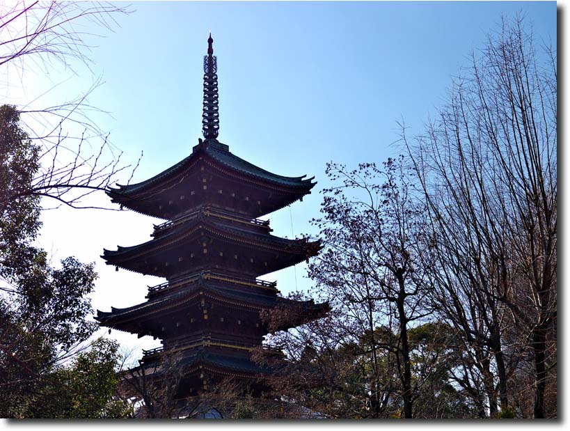 上野動物園 ・・・・ 1月12日_c0124497_21195535.jpg