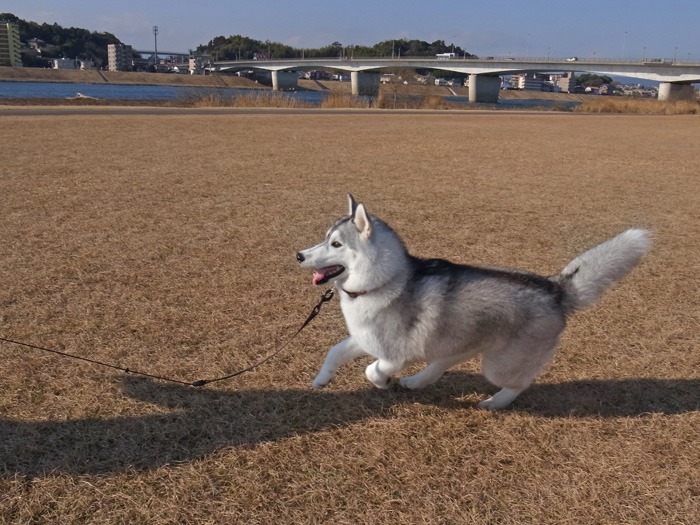c0049299_2032167.jpg