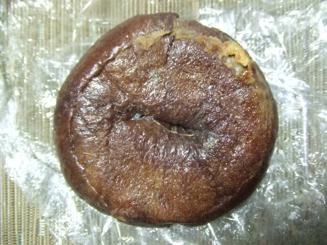 ハナテントウ キャラメルチョコ_f0076001_0104490.jpg