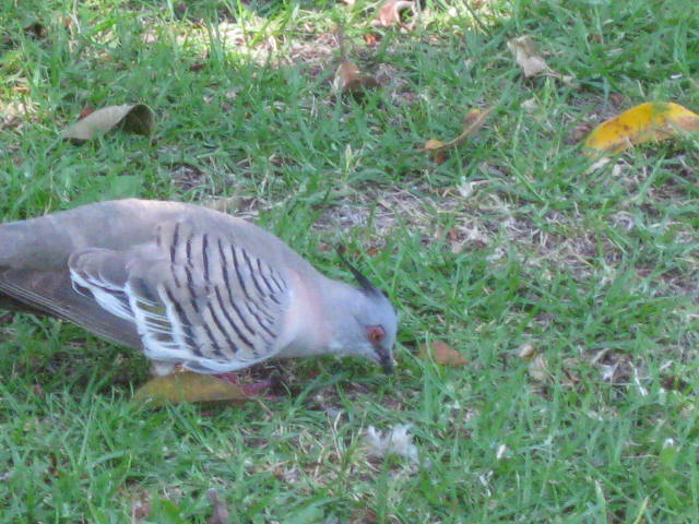 a0224502_13482771.jpg