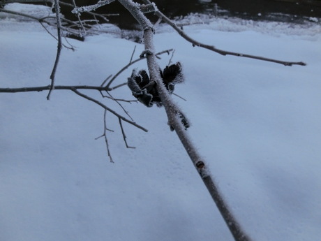 a0203003_91753100.jpg