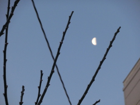 a0203003_9181969.jpg