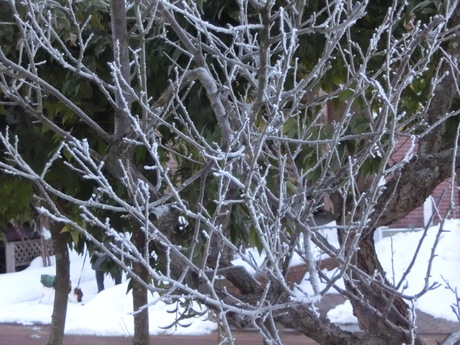 a0203003_919490.jpg