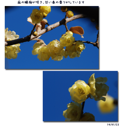 c0051105_23000533.png