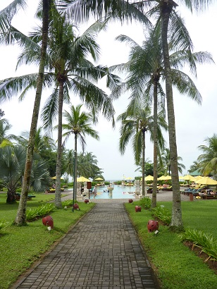 f0102311_107497.jpg