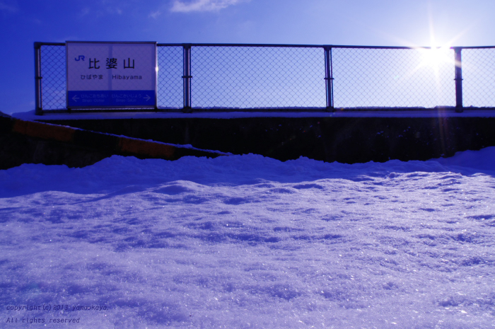 青い輝き_d0309612_0295145.jpg