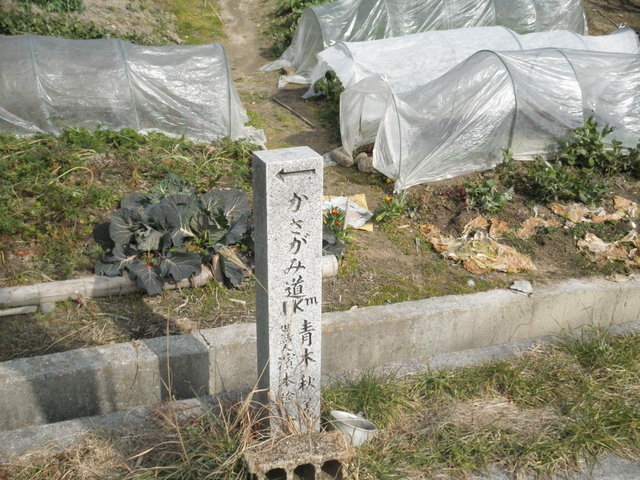 a0189513_17525972.jpg