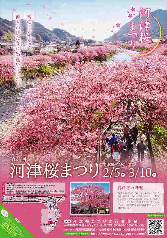 河津桜まつりが２月５日から始まります。_f0182513_05070.jpg