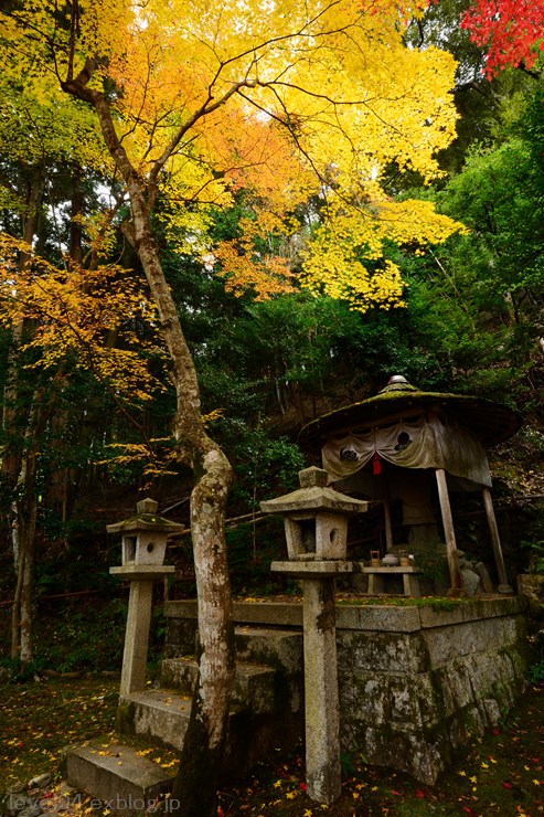 京都 護法堂弁財天 ～紅葉～_d0319222_941477.jpg