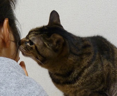 7年ぶりの馬油 _b0166128_10305947.jpg