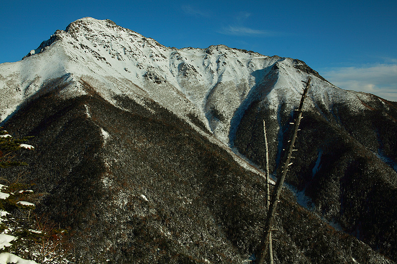 c0313231_16364344.jpg