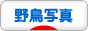 f0160440_16312086.png
