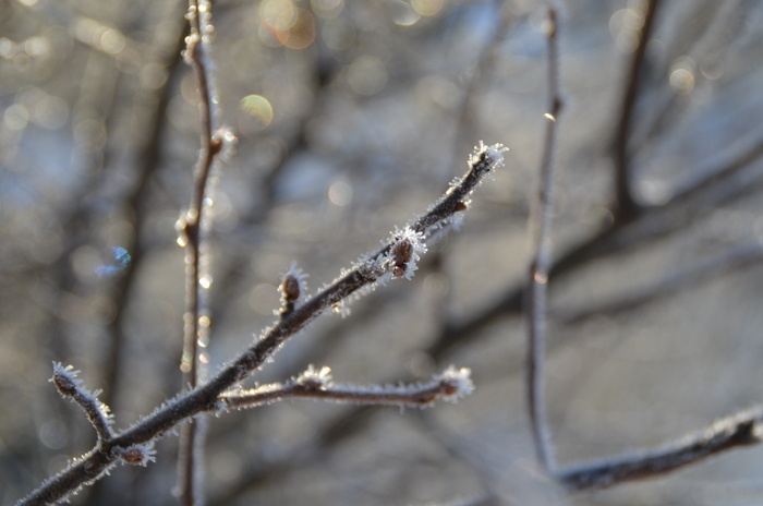 c0202242_8325187.jpg