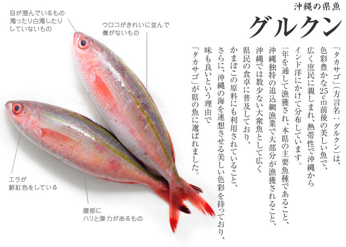 ダウンロード可能 グルクン レシピ 500 トップ画像のレシピ