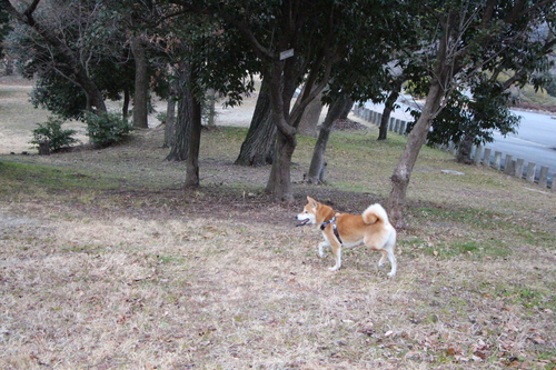 f0245650_8334741.jpg
