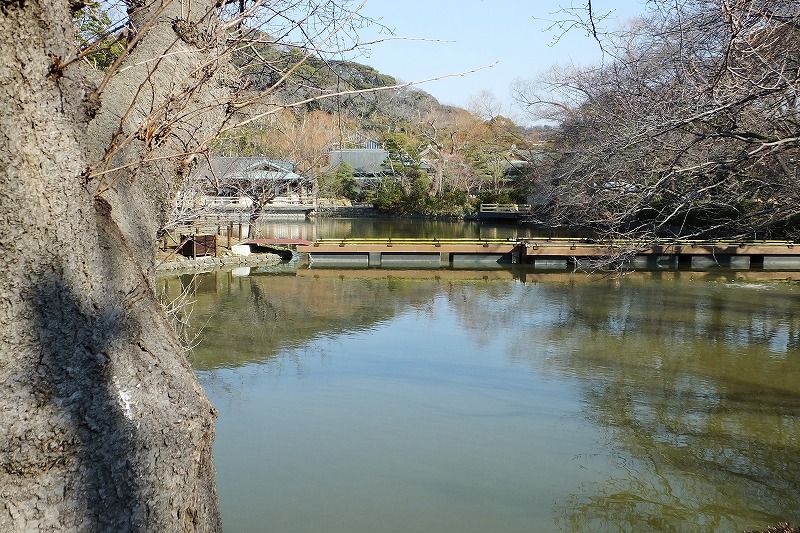 b0236251_17482.jpg