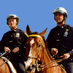 f0063659_04390813.jpg