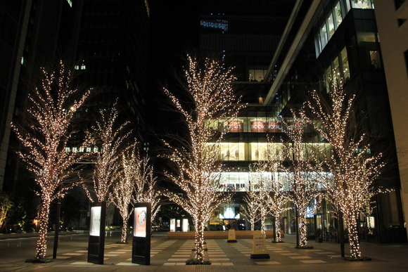 東京駅 イルミネーション_d0202264_5482346.jpg