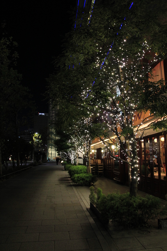 東京駅 イルミネーション_d0202264_5492058.jpg