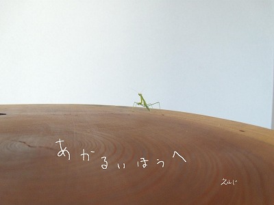明るいほうへ!!!_d0165772_19183508.jpg