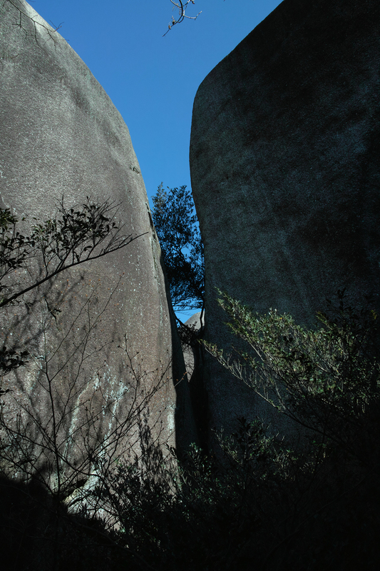 c0054876_17253536.jpg