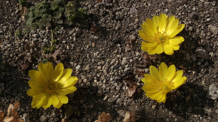 c0212083_21112791.jpg