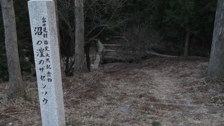 c0212083_21122523.jpg