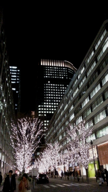 夜景＝イルミが綺麗ですね～日比谷・銀座　２０１４・０１・２４_e0143883_23191411.jpg