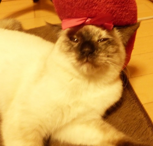 c0223591_17225680.jpg