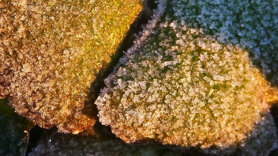 a0152692_17572776.jpg